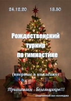 Рождественский турнир по гимнастике